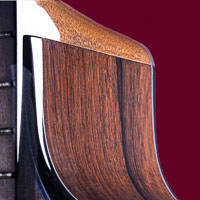 Guitar Panel 11