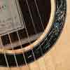 Guitar Panel 1