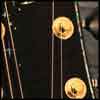 Guitar Panel 9